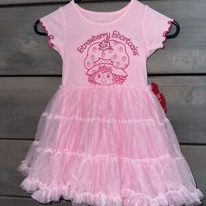 Strawberry Shortcake Pink Dress
